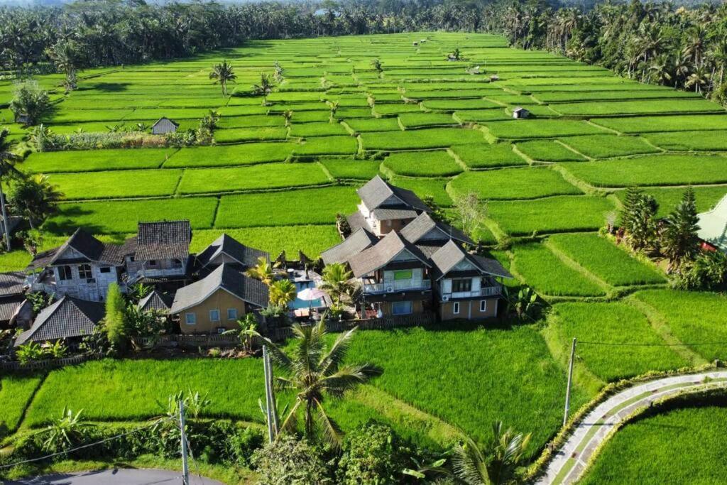 Ananda Jj Ubud Resort & Spa Eksteriør billede