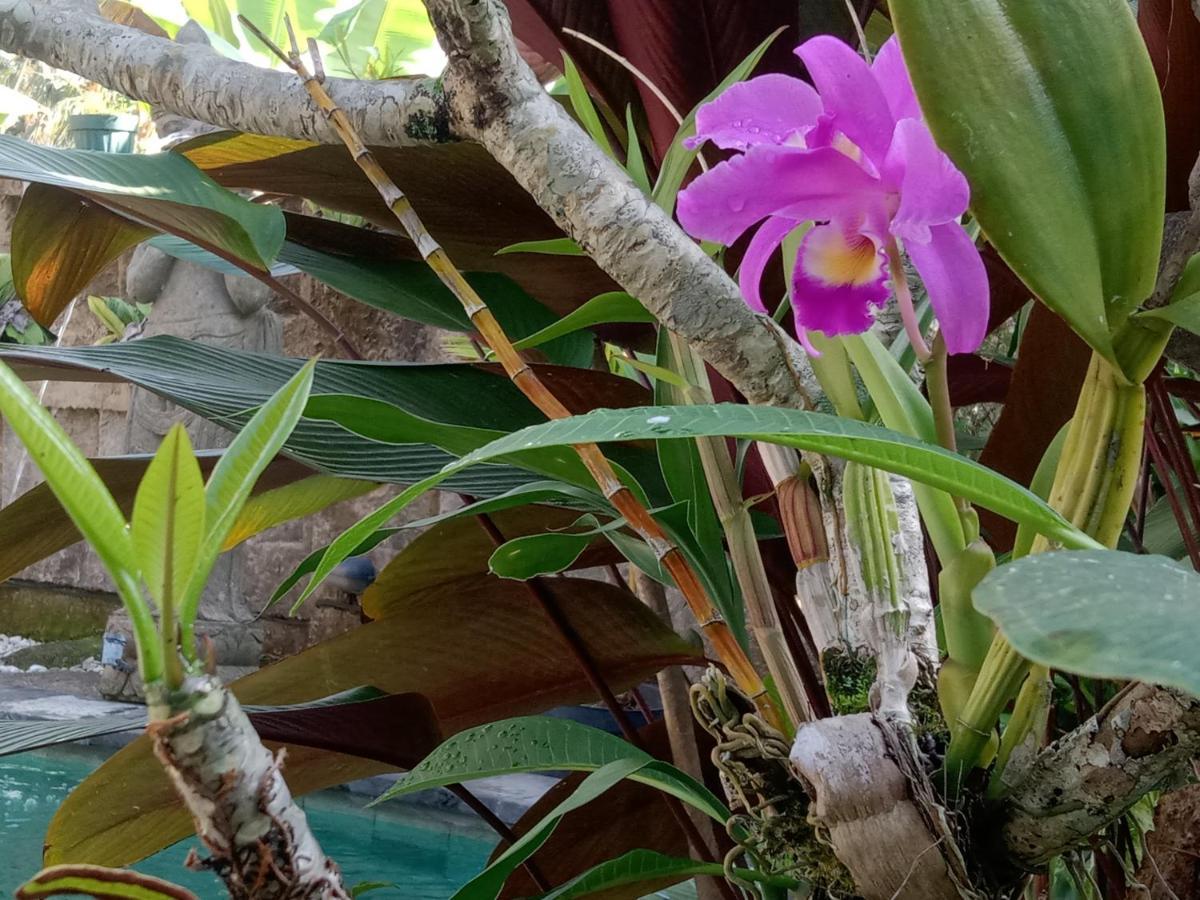 Ananda Jj Ubud Resort & Spa Eksteriør billede